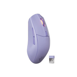 Steelseries 62525 mouse...