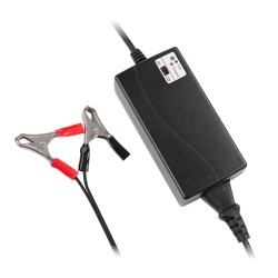 Automatic charger for gel...