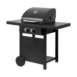 MASTER GAS GRILL 2-BURNER...
