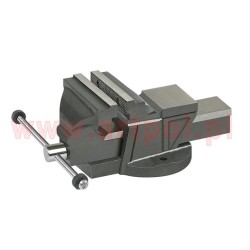 Fixed cast iron vise 125mm/AR