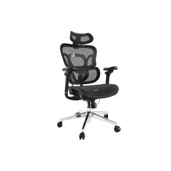 Equip Ergonomic Premium...