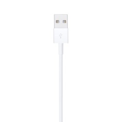 Apple Lightning to USB...