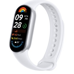 Xiaomi Smart Band 9, Acier...