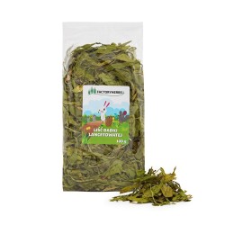 FACTORY HERBS Ribwort...