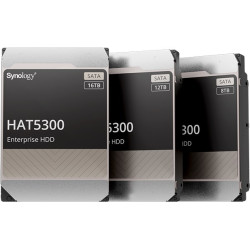 Synology HAT5300-16T...