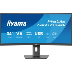 iiyama ProLite...