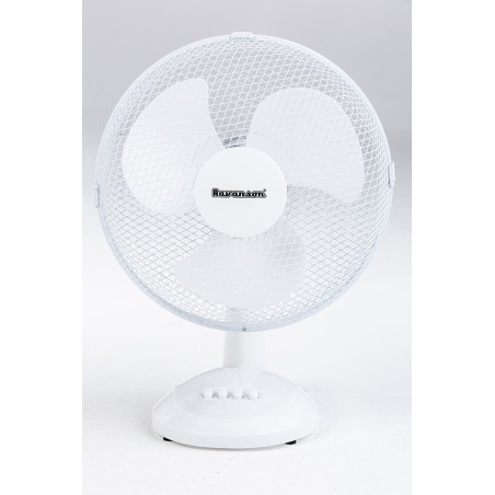 Fan Ravanson WT-1040 (grey)
