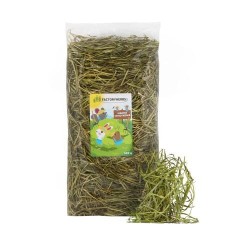 FACTORY HERBS Fresh timothy...