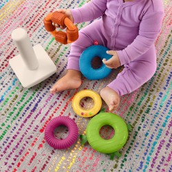 Fisher-Price Sensory...