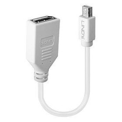 ADAPTER MINI DP TO DP/0.2M...