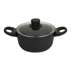 Induction pot with lid...
