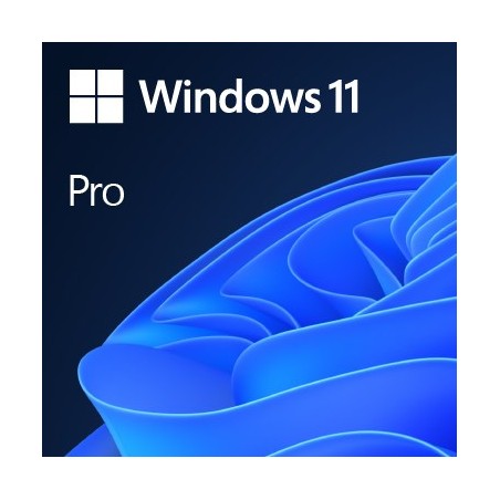 Microsoft Windows 11 Pro OEM