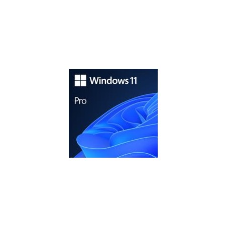 Software|MICROSOFT|Win 11 Pro GGK 64Bit Eng Intl 1pk DSP ORT OEI DVD|Win Pro|OEM|English|4YR-00316