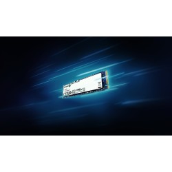 Kingston Technology 500G...