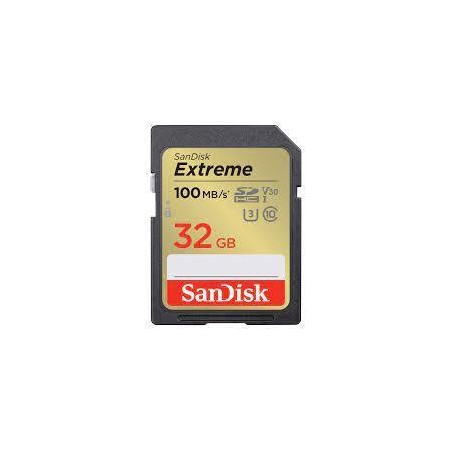 MEMORY SDHC 32GB UHS-1/SDSDXVT-032G-GNCIN SANDISK
