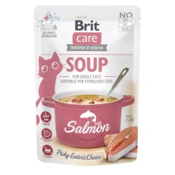 BRIT Care Soup Salmon -...