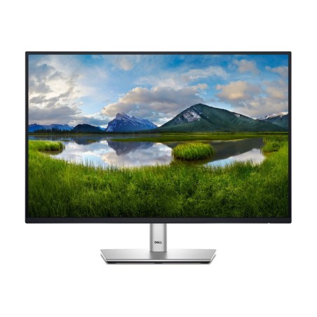 LCD Monitor|DELL|P2425E|24"|Business|Panel IPS|1920x1200|16:10|100Hz|Matte|8 ms|Swivel|Pivot|Height adjustable|Tilt|210-BMJF