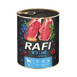 Dolina Noteci Rafi Dog wet...
