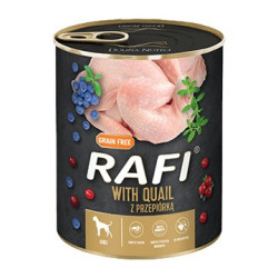 Dolina Noteci Rafi Dog wet...