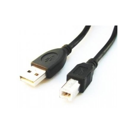 Gembird CCP-USB2-AMBM-6 USB cable 1.82 m USB A USB B Black