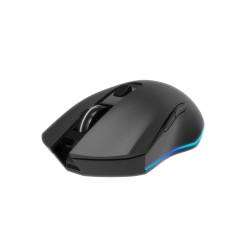 MOUSE USB OPTICAL WRL...