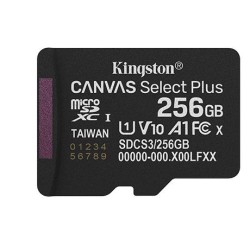 MEMORY MICRO SDXC 256GB...