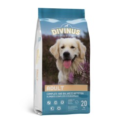 DIVINUS Adult - dry dog...