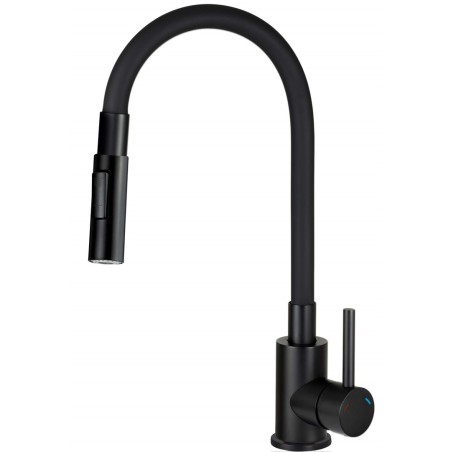 Kitchen faucet with bent spout - 2 types of spray