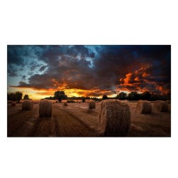 SAMSUNG 46"  VM46B-U...