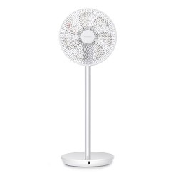 FAN STANDING...