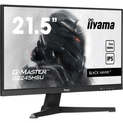 Iiyama Monitor 22...