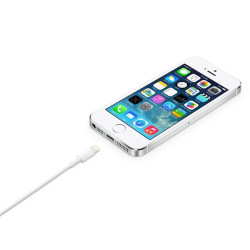 Apple Lightning to USB...