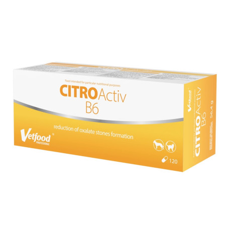 VETFOOD Citro Activ B6 - supplements for dogs and cats - 120pcs